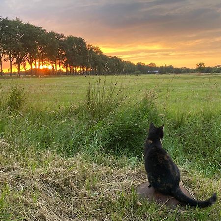 Kindvriendelijk Appartement De Hooge Stukken Onder De Rook Van Groningen Eelde-Paterswolde Kültér fotó